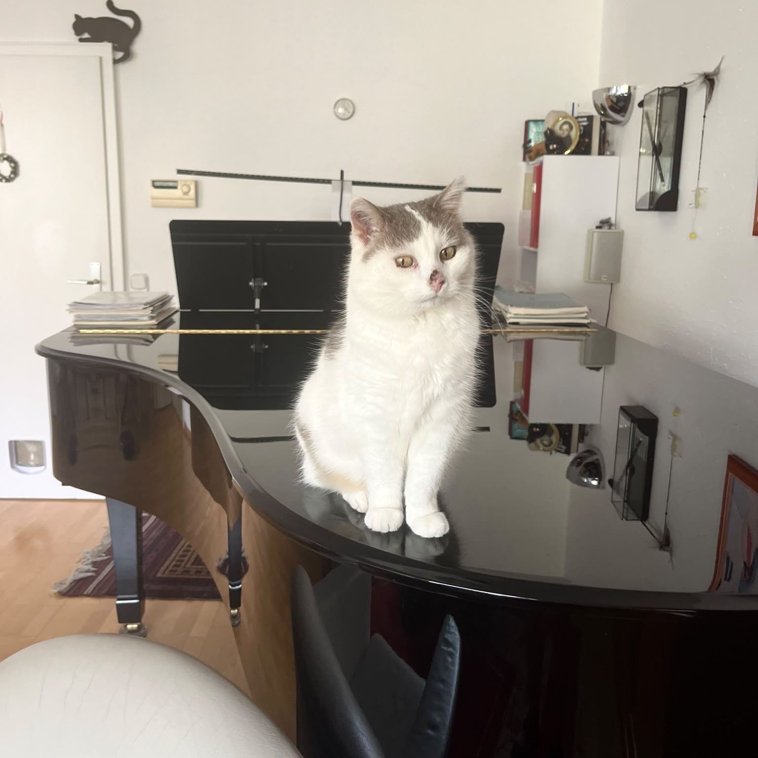 A white cat with gray patches sits on a black piano, surrounded by a cozy room with various decorative items.