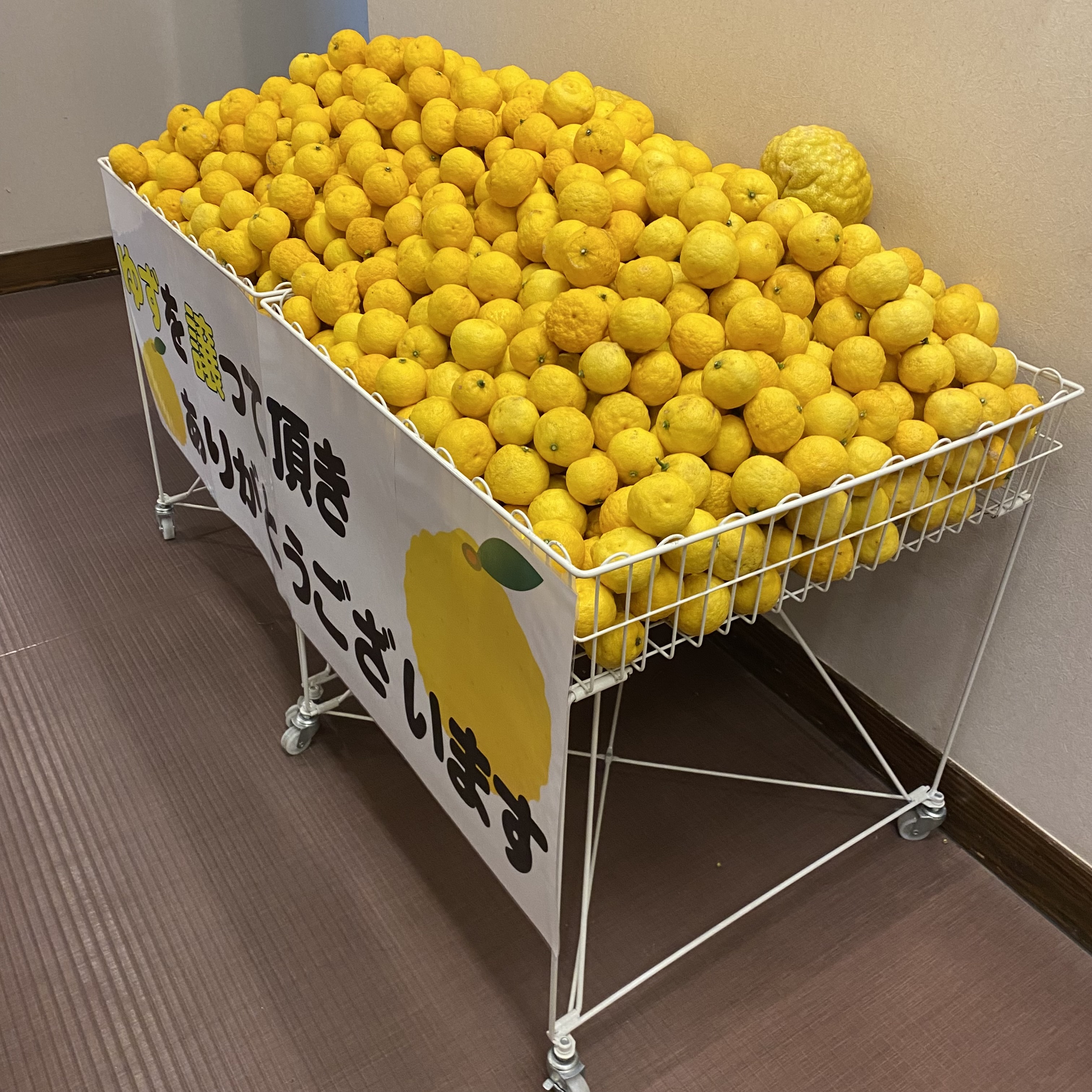 A wire basket filled to the top with bright yellow citrus fruits, likely lemons, next to a wall with a sign that thanks visitors.