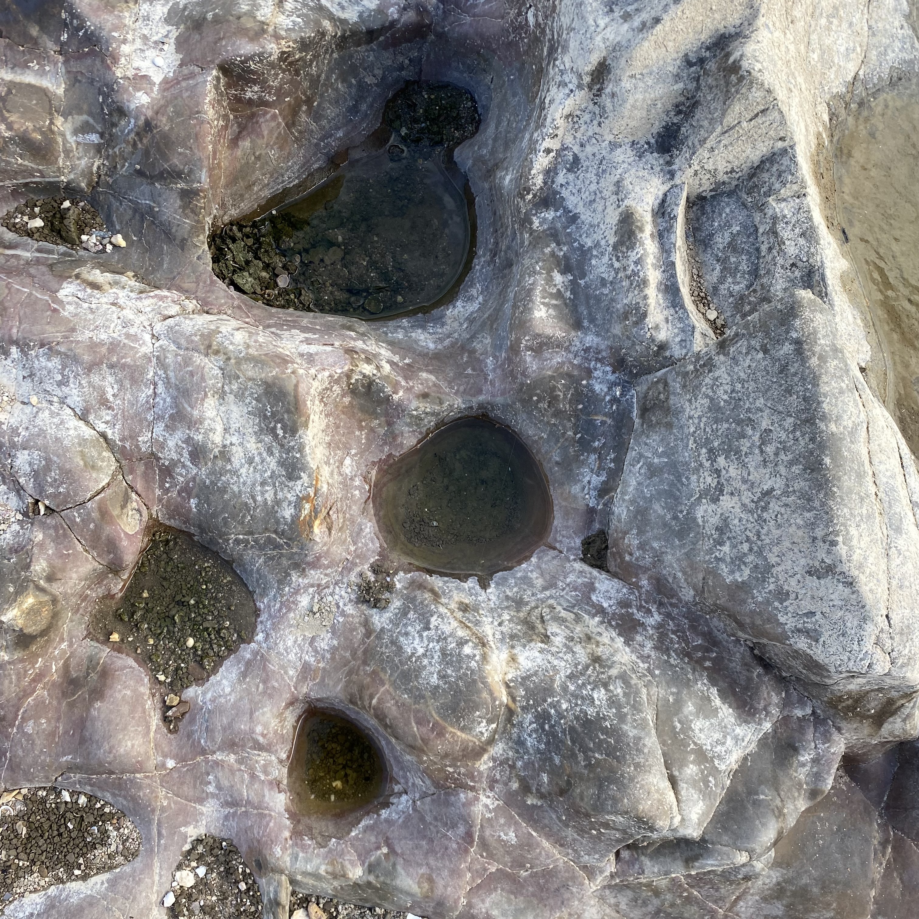 Close-up view of a rock surface with several shallow water-filled depressions surrounded by textured stone.