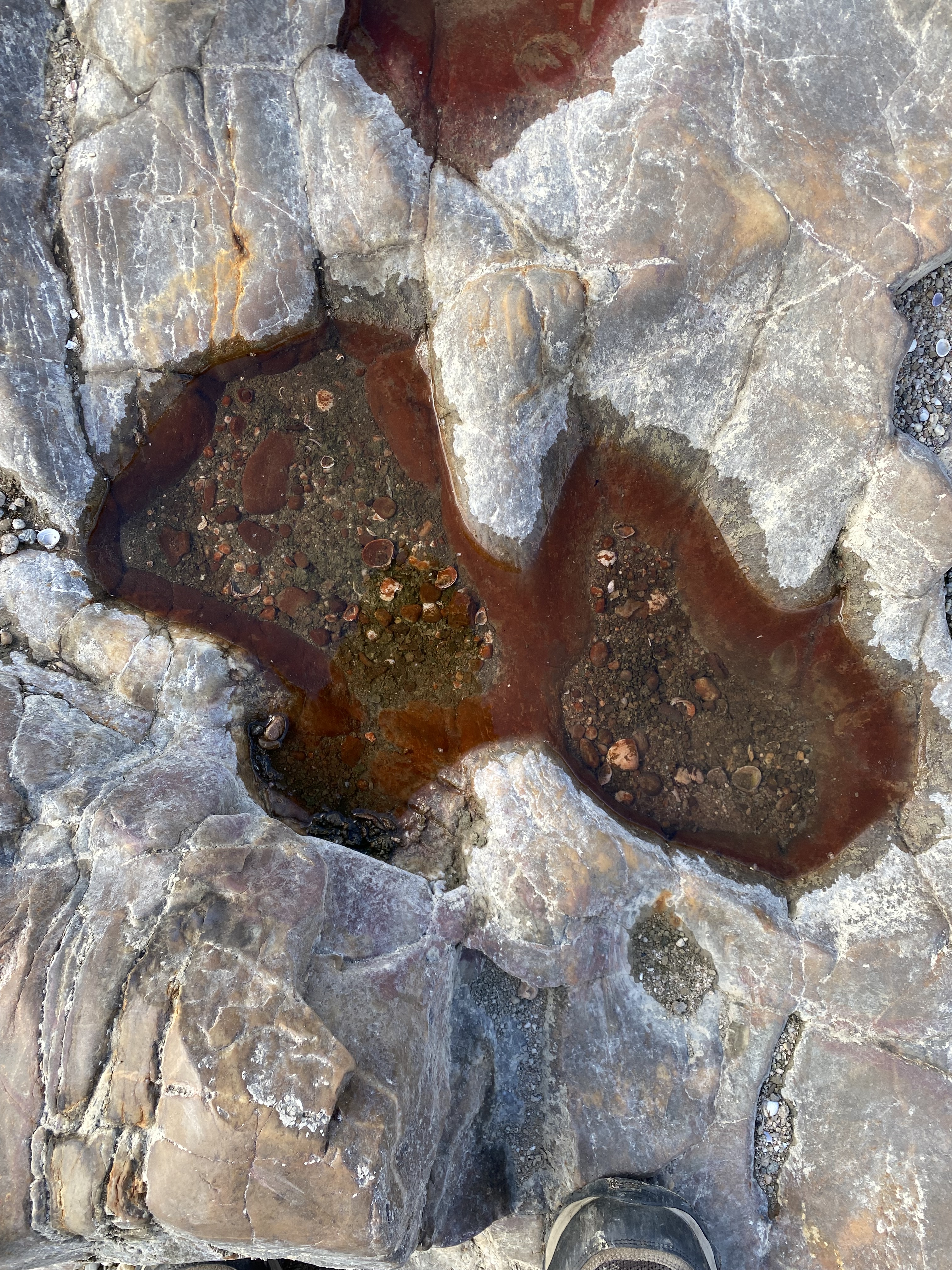 Close-up of a rocky surface featuring pools of water, with reddish-brown hues and small pebbles visible within the water.