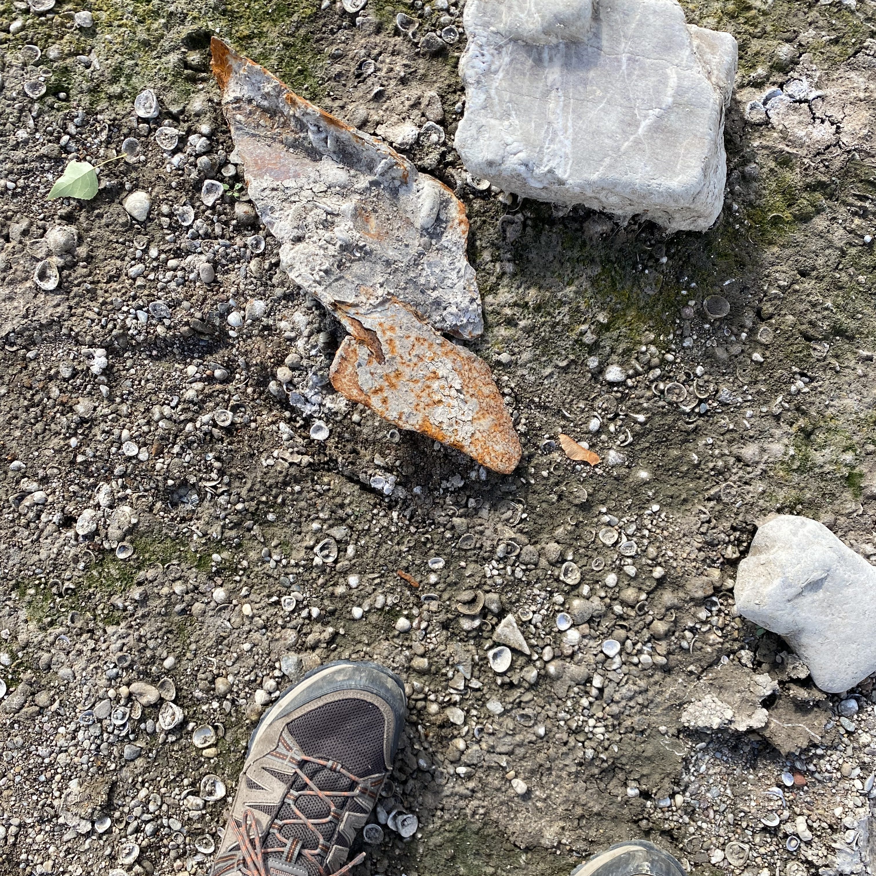 Close-up of a person's shoe on a rocky, textured ground with scattered shells and small stones, featuring a rusty metal piece and a larger gray rock.